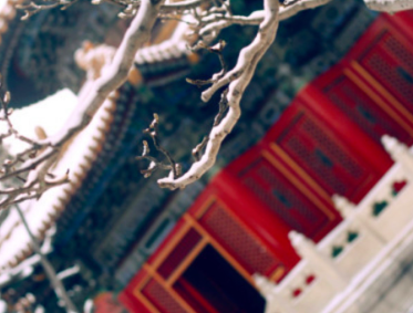卓越教育推大語文探索新玩法，誰說主課不能玩素質教育